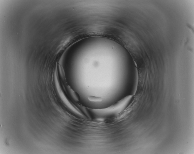 X0000098200168200804241301