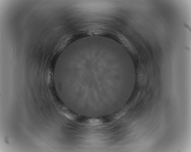 X0000098200169200804241301