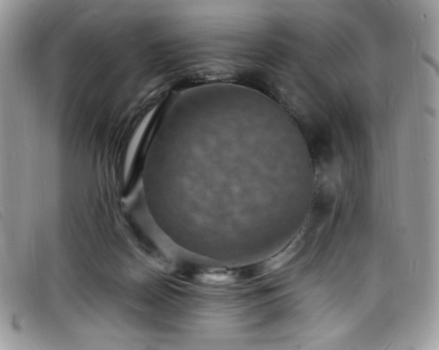 X0000098200170200804241301