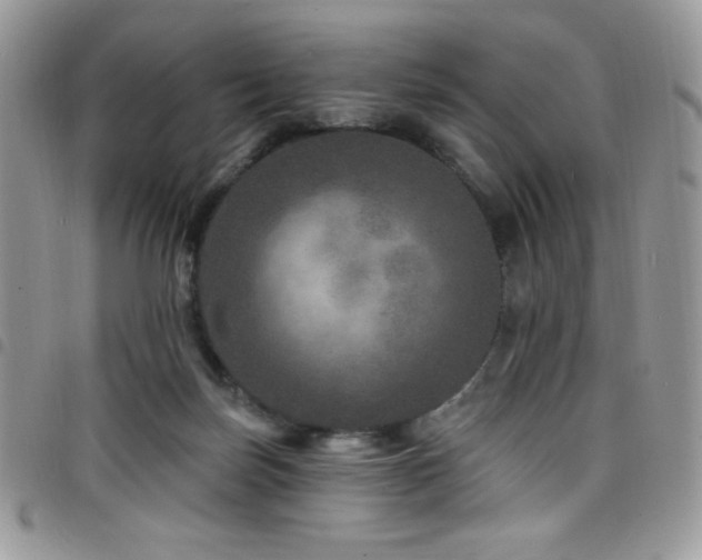 X0000098200171200804241301