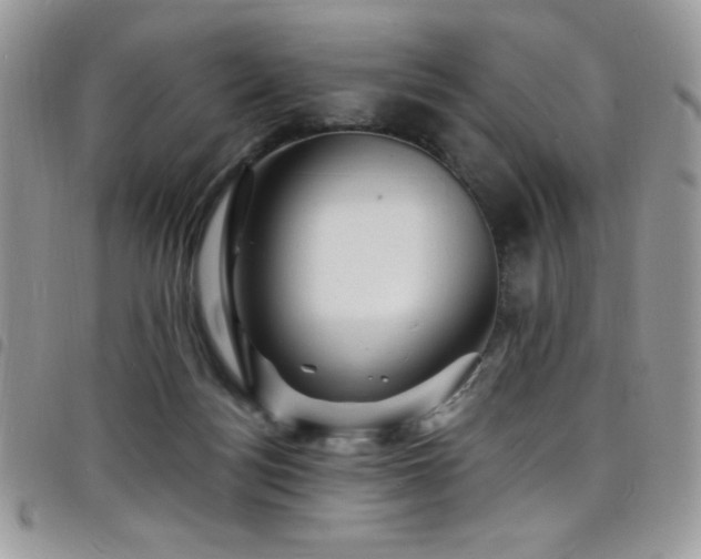 X0000098200172200804241301