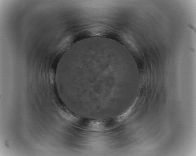 X0000098200174200804241301