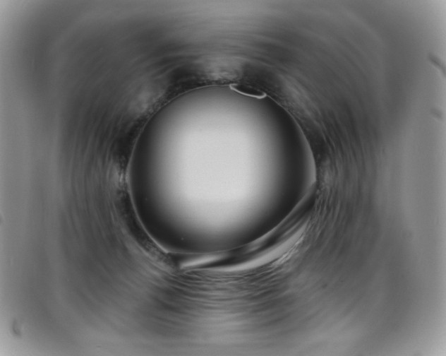 X0000098200176200804241301