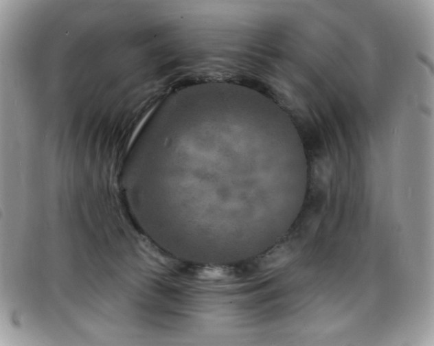 X0000098200177200804241301