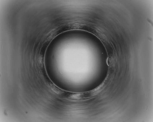 X0000098200178200804241301