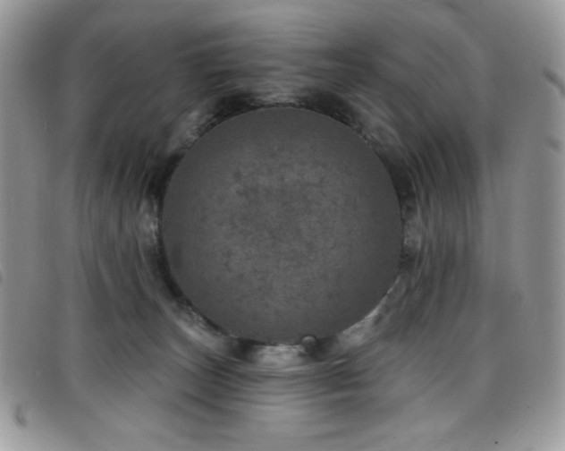 X0000098200179200804241301