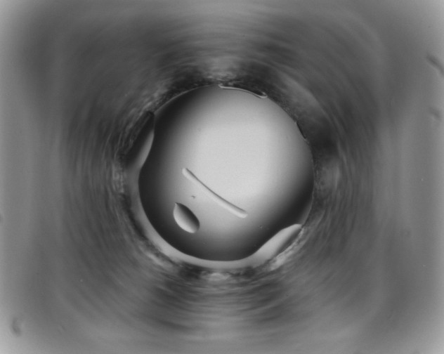 X0000098200180200804241302