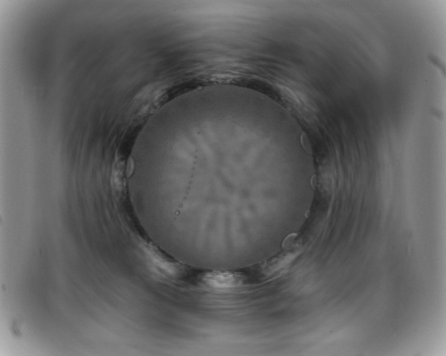 X0000098200181200804241302