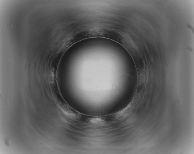 X0000098200183200804241302