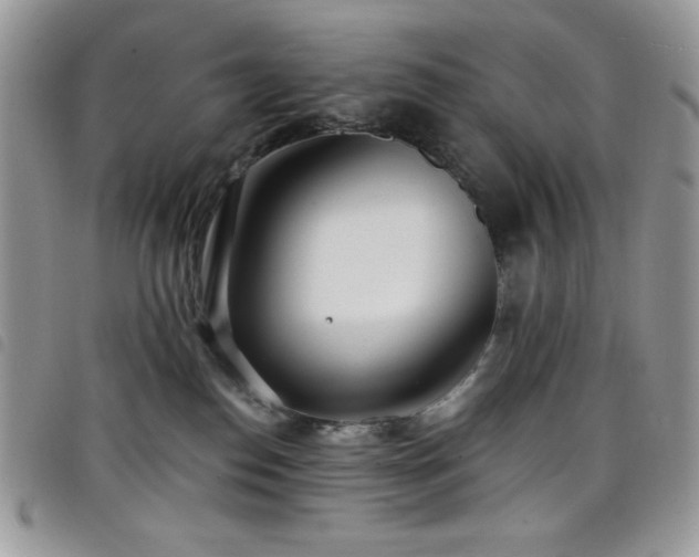 X0000098200186200804241302