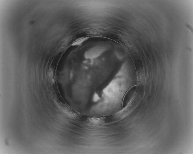 X0000098200187200804241302