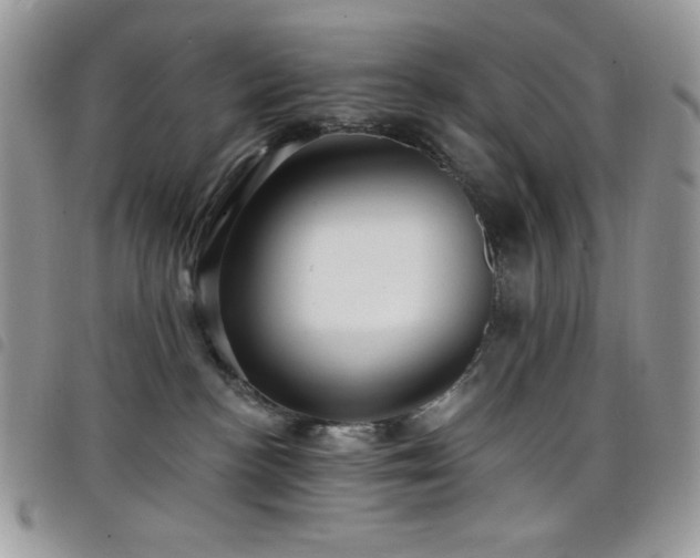 X0000098200188200804241302