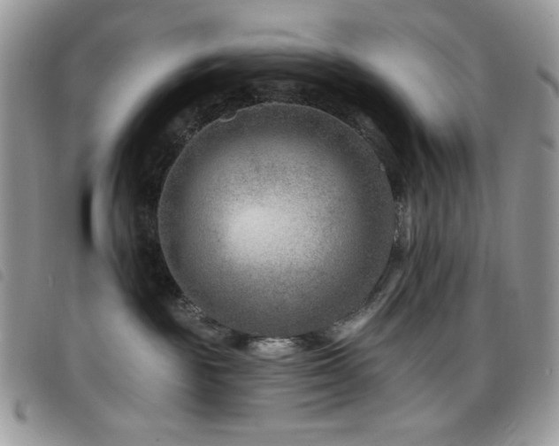X0000098200189200804241302
