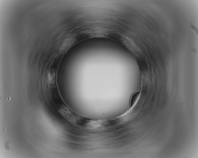 X0000098200190200804241302