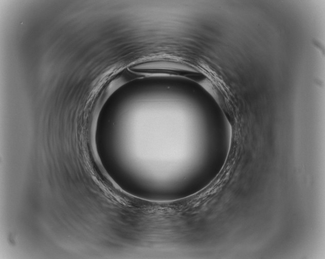 X0000098200193200804241301