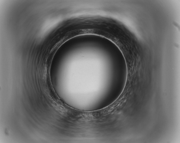 X0000098200194200804241301