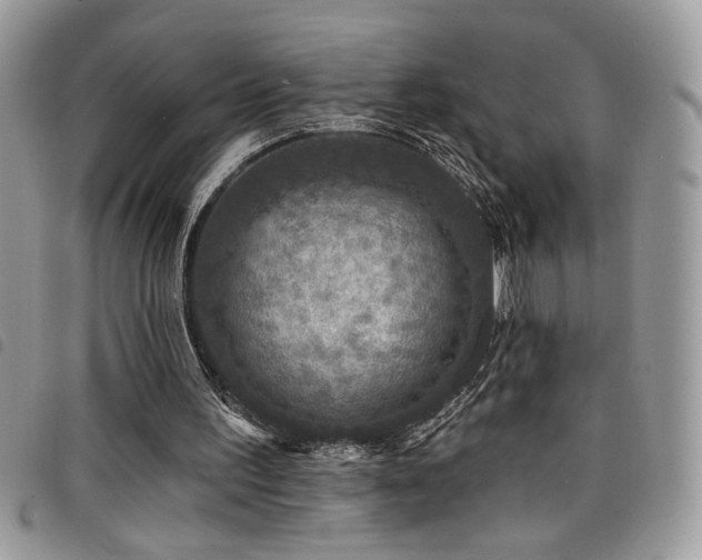 X0000098200195200804241301