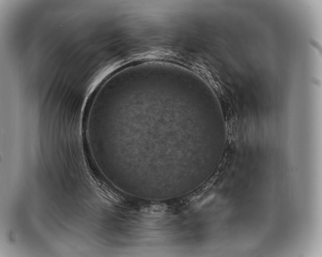 X0000098200196200804241301