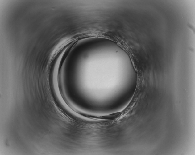 X0000098200197200804241301