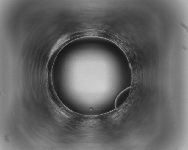 X0000098200198200804241301