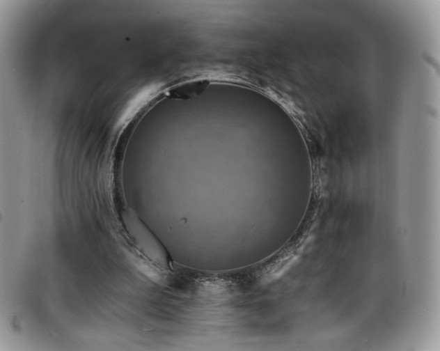 X0000098200199200804241301