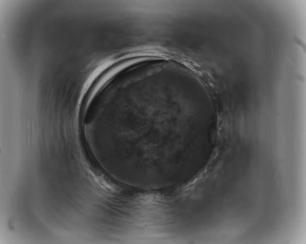 X0000098200200200804241301