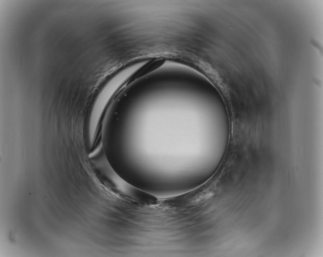 X0000098200201200804241301