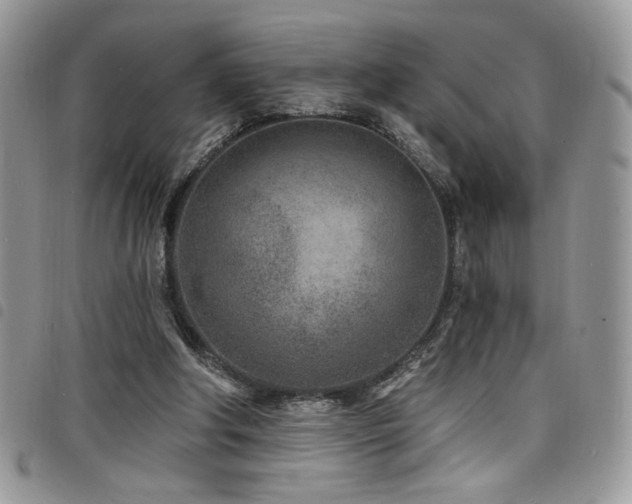 X0000098200202200804241301