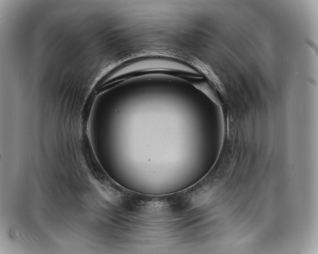X0000098200204200804241301