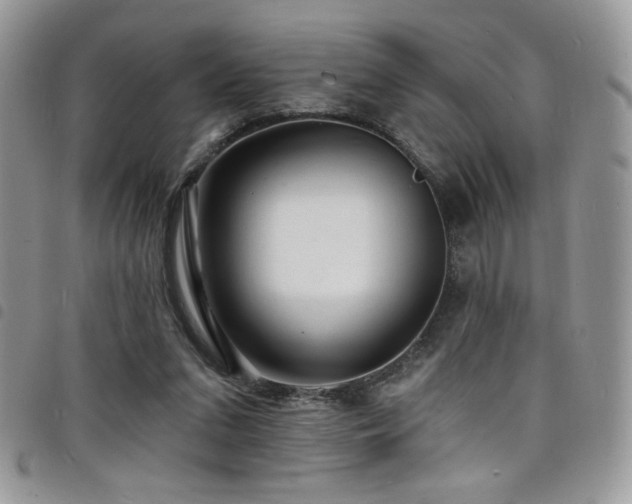 X0000098200207200804241301