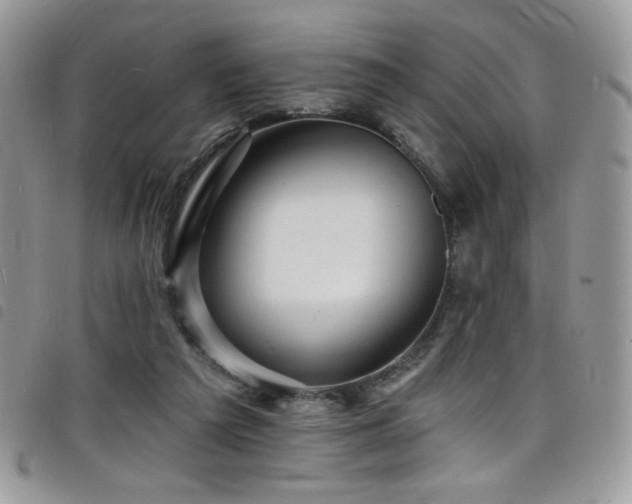 X0000098200209200804241301