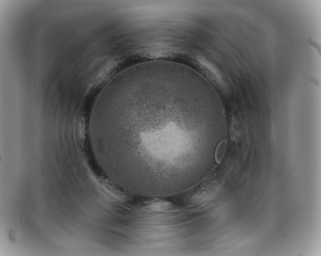 X0000098200210200804241301