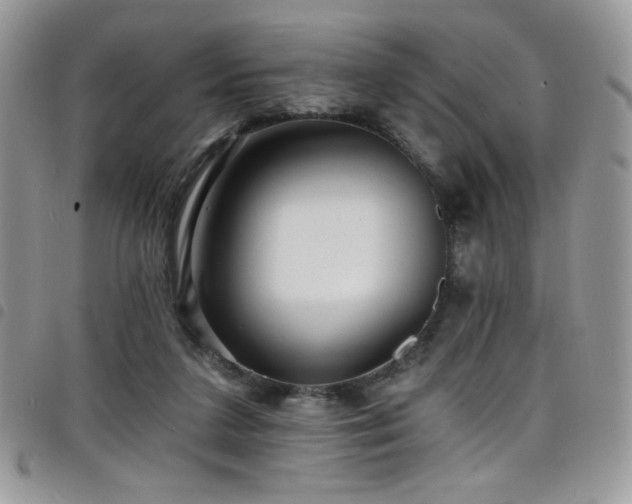X0000098200211200804241301