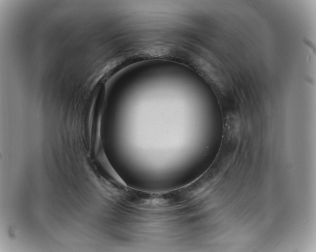 X0000098200212200804241301