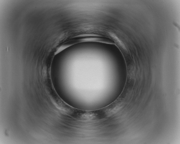 X0000098200213200804241301