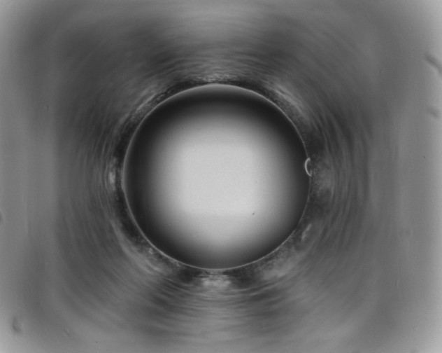 X0000098200214200804241301