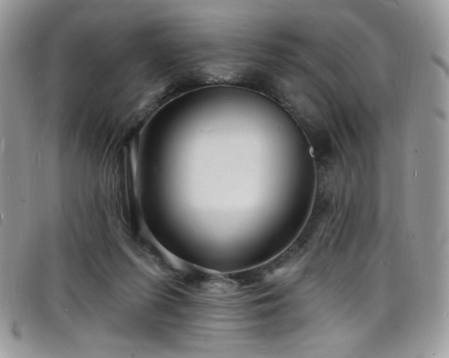 X0000098200215200804241301