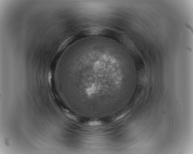 X0000098200216200804241301