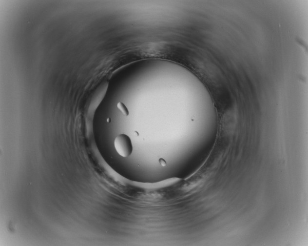 X0000098200217200804241301