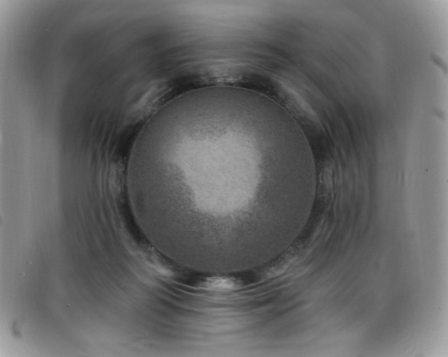X0000098200218200804241301