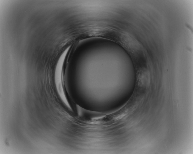 X0000098200219200804241301