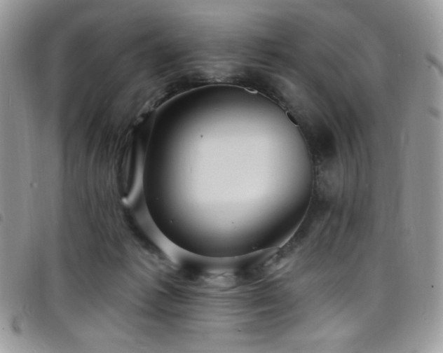 X0000098200221200804241301