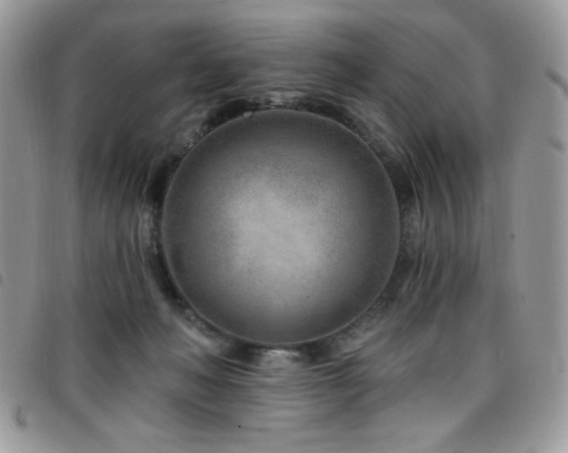 X0000098200222200804241301