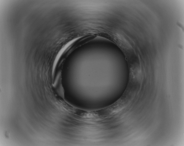 X0000098200223200804241301