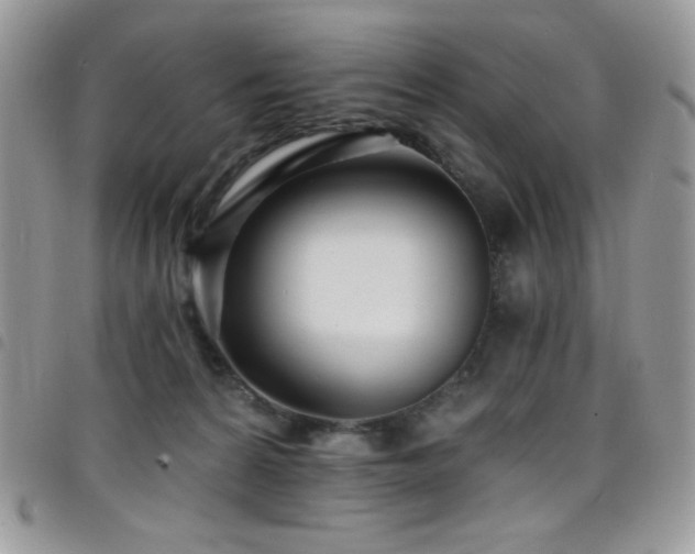 X0000098200224200804241301