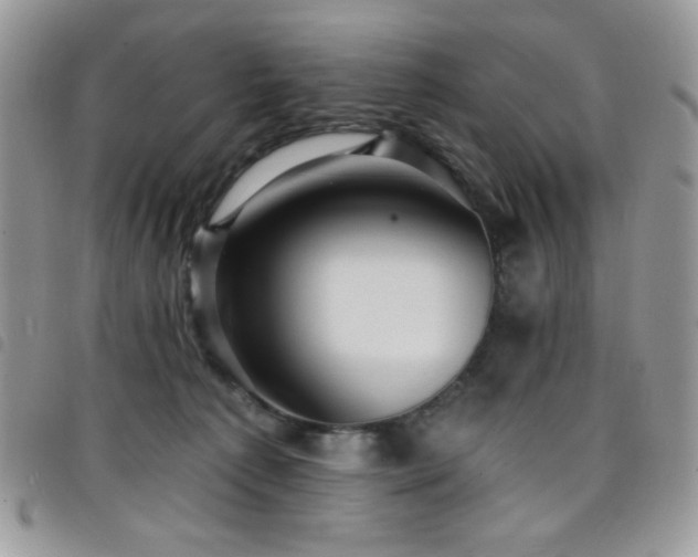 X0000098200225200804241301