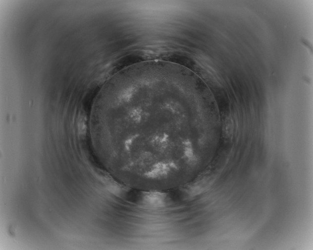 X0000098200226200804241301