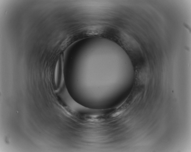 X0000098200227200804241300