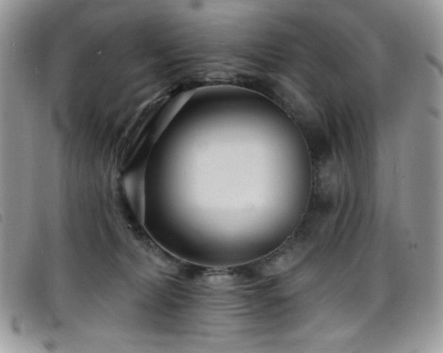 X0000098200228200804241300
