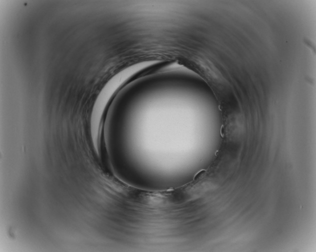 X0000098200229200804241300